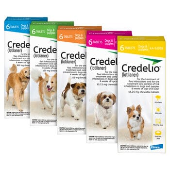 Credelio litolaner effective antiparasitic flea tick chewable medicine for dogs