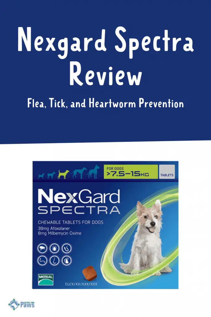 Nexgard Spectra Flea, Tick, and Heartworm Prevention for Dogs Review Pinterest