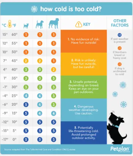 PetPlan chart temperature too cold to walk dog in winter