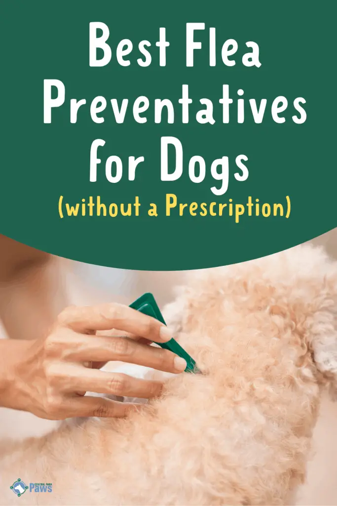 Best Flea Medicine for Dogs without Vet Prescription Pinterest