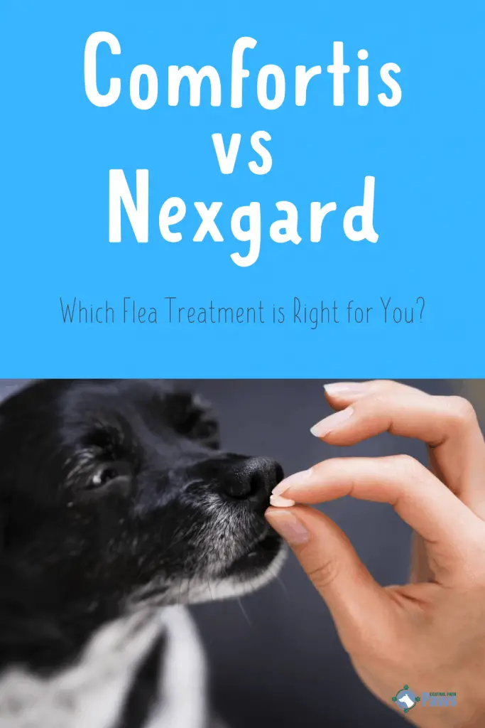Comfortis vs Nexgard Flea Medications for Dogs Pinterest