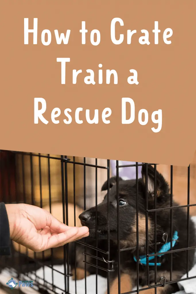 How to Crate Train a Rescue Dog Pinterest