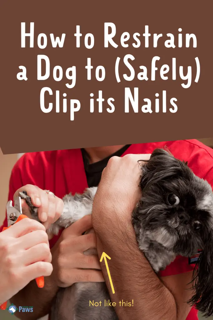 How to Restrain a Dog to Clip its Nails Pinterest