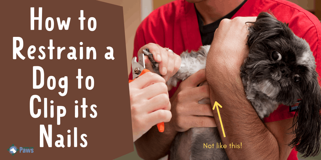 How To Restrain A Dog To Clip Its Nails: 3 Great Methods