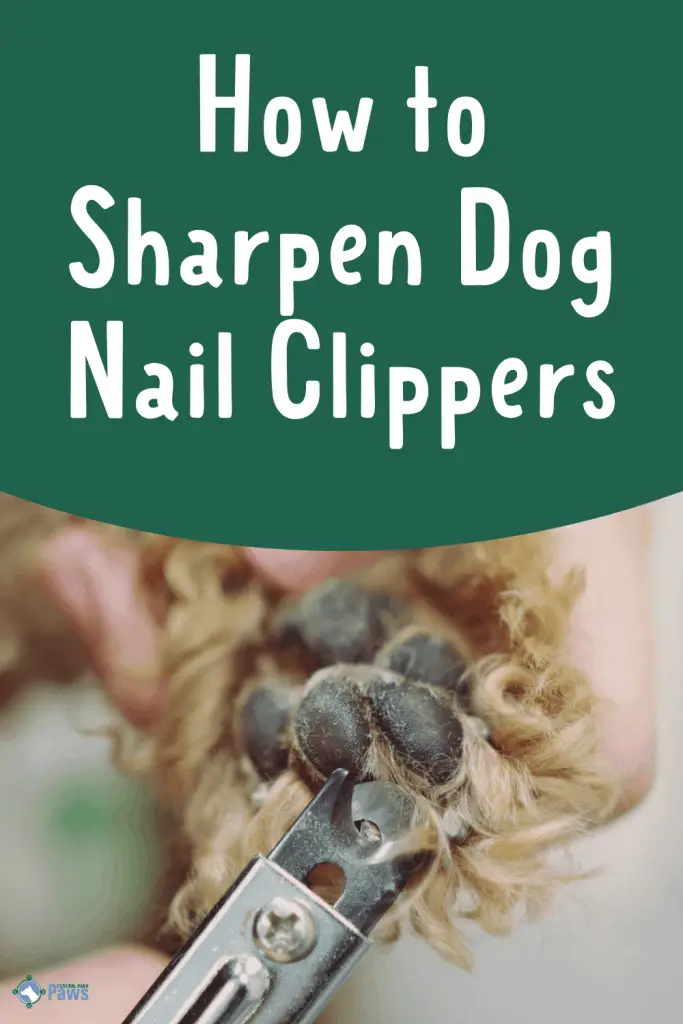 How to Sharpen Dog Nail Clippers Pinterest