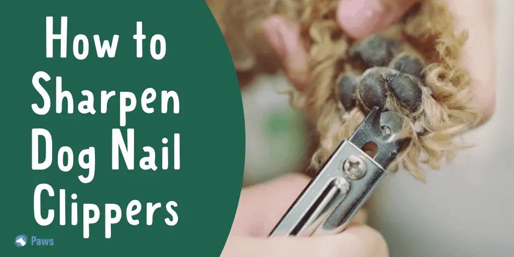 How to Sharpen Dog Nail Clippers