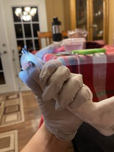 Mira's split dog nail