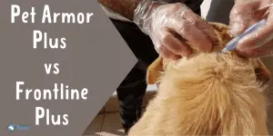 Pet Armor Plus vs Frontline Plus Flea Treatment for Dogs