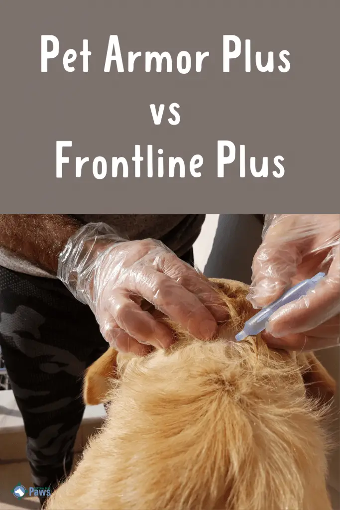 Pet Armor Plus vs Frontline Plus Flea Treatment for Dogs Pinterest