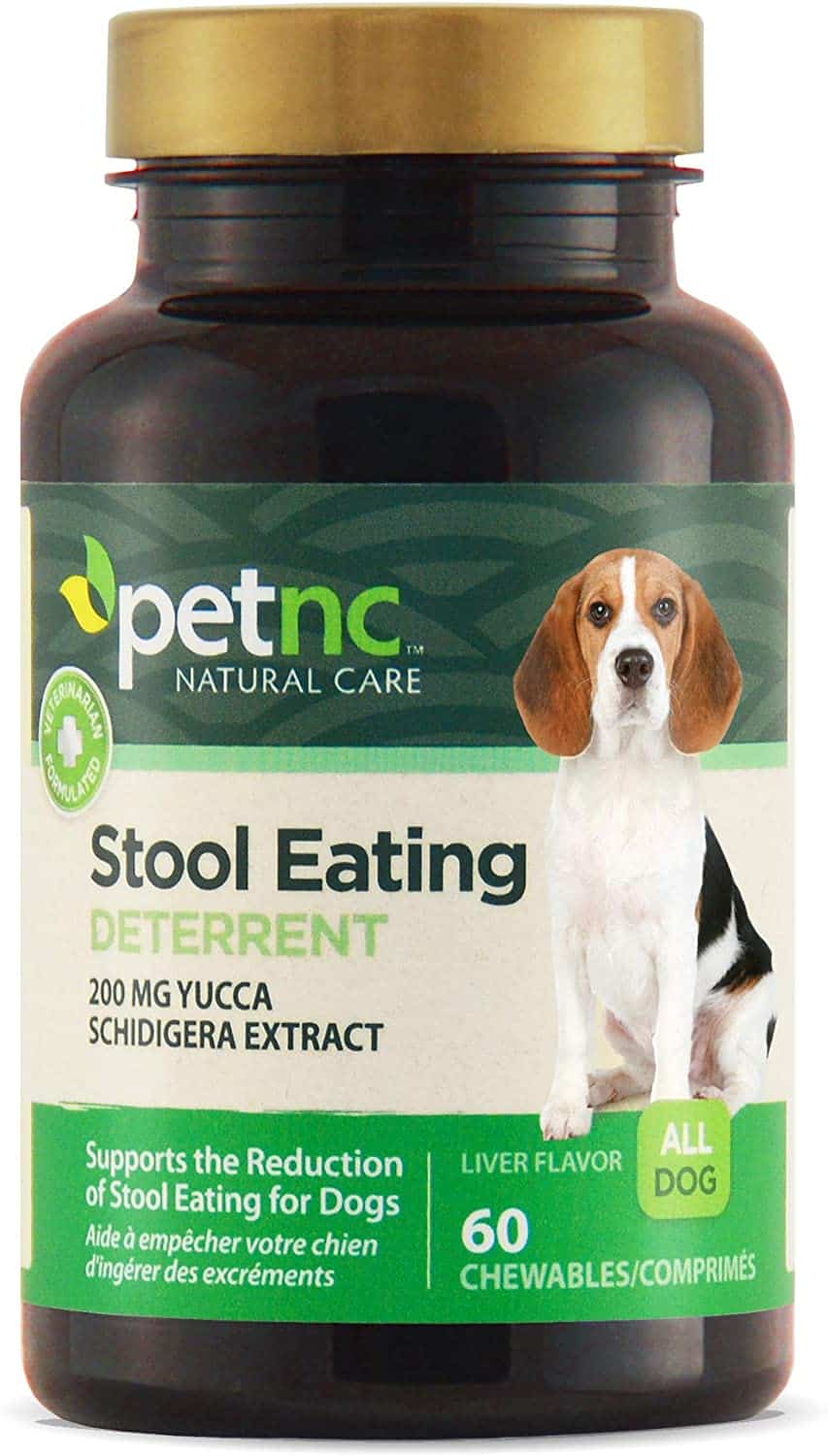 2024's 8 Best Coprophagia Deterrents For Dogs To Stop Poop Eating
