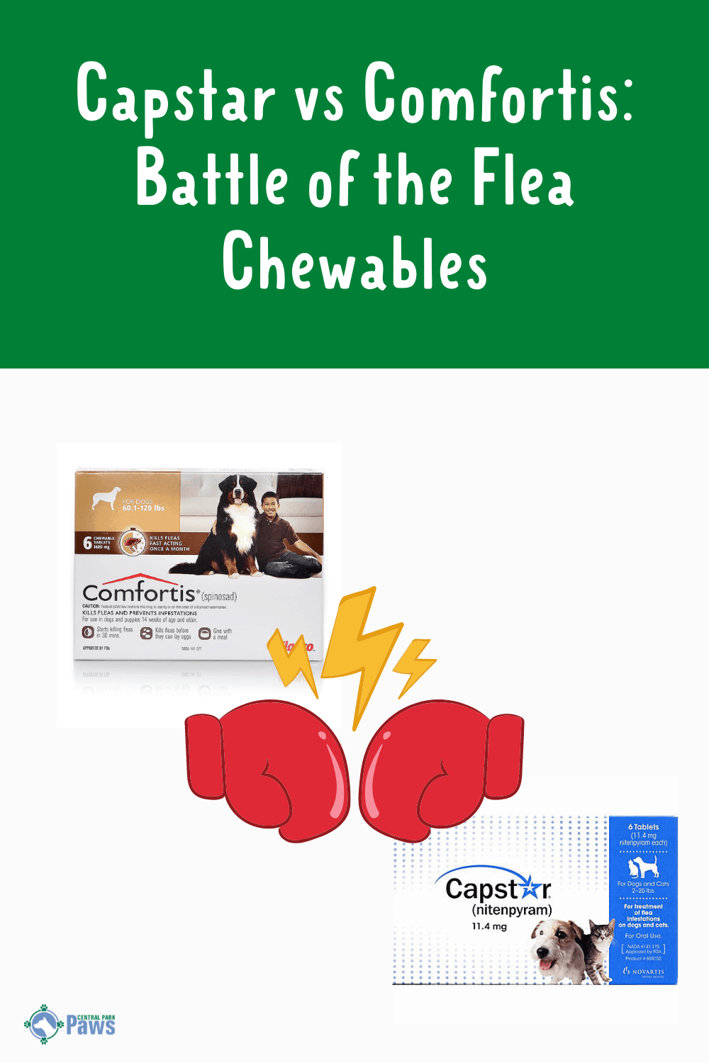 Capstar Vs. Comfortis Which Flea Medication Is Best?