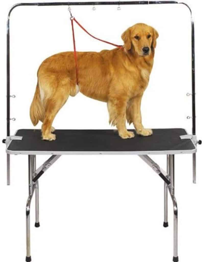 Grooming table with secure arm for restraining dog while trimming nails