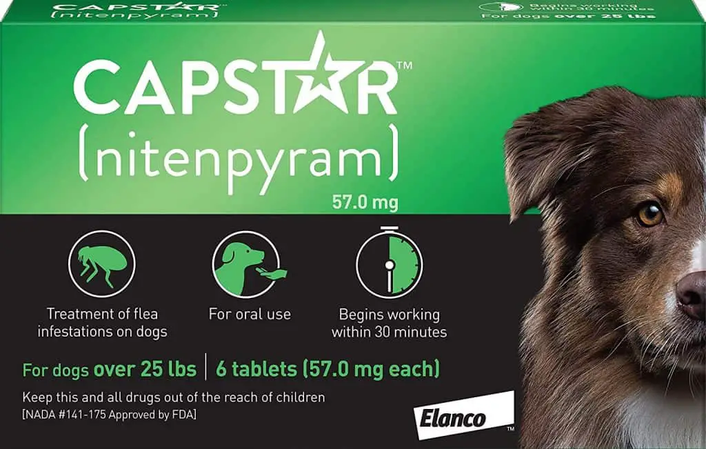 Capstar best oral flea control pill medication without veterinarian prescription