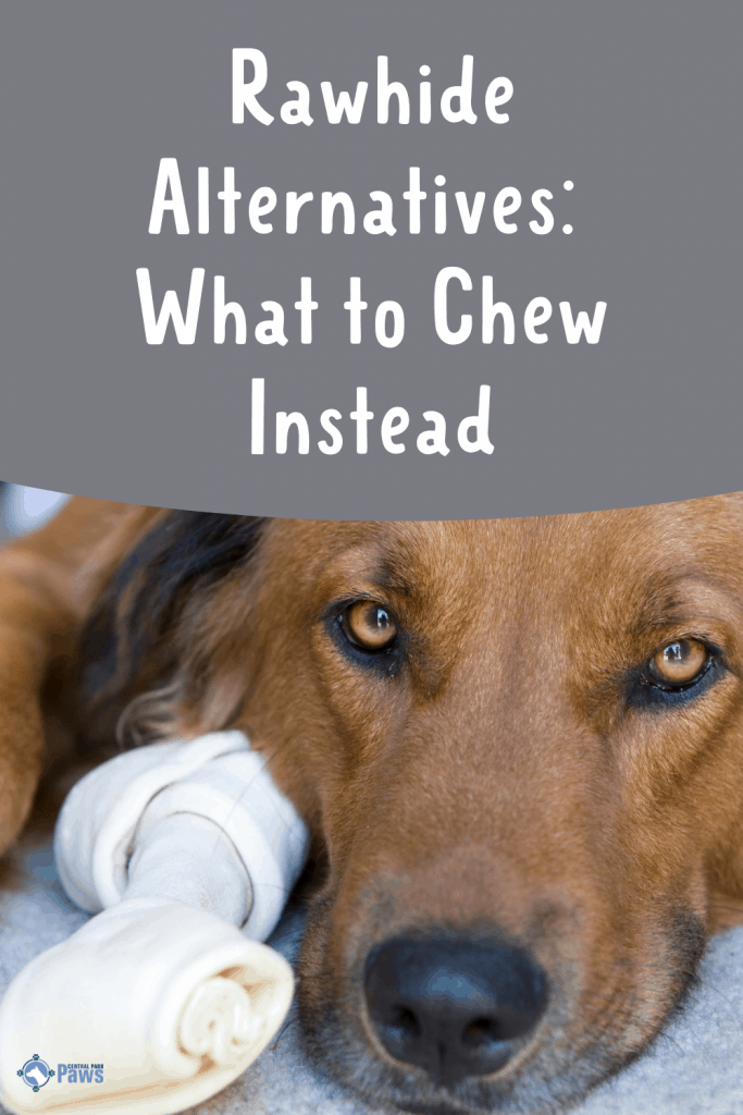 Rawhide Alternatives What to Chew Instead - Pinterest