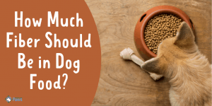 How Much Fiber Should Be in Dog Food