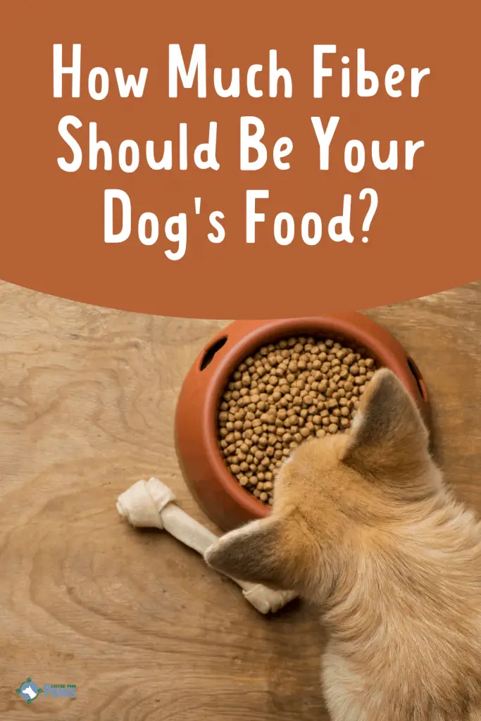 How Much Fiber Should Be in Dog Food Pinterest