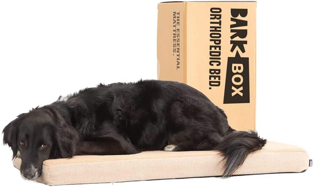 Bark Box memory foam best budget orthopedic dog bed