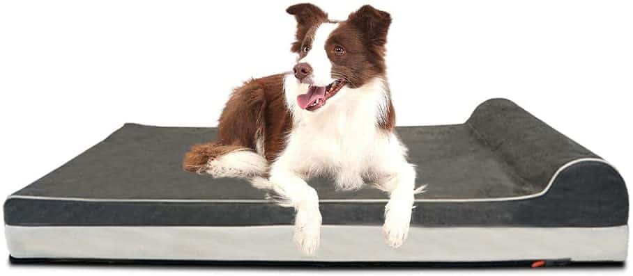 Laifug orthopedic memory foam mattress dog bed best for hip dysplasia