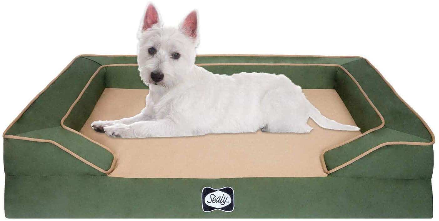 2024's Best Orthopedic Dog Beds A Comfortable Rest For Older Dogs