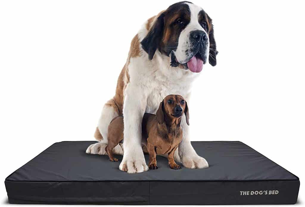 The Dogs Bed best extra large orthopedic for large breeds