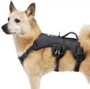 rabbitgoo Escape Proof Dog Harness