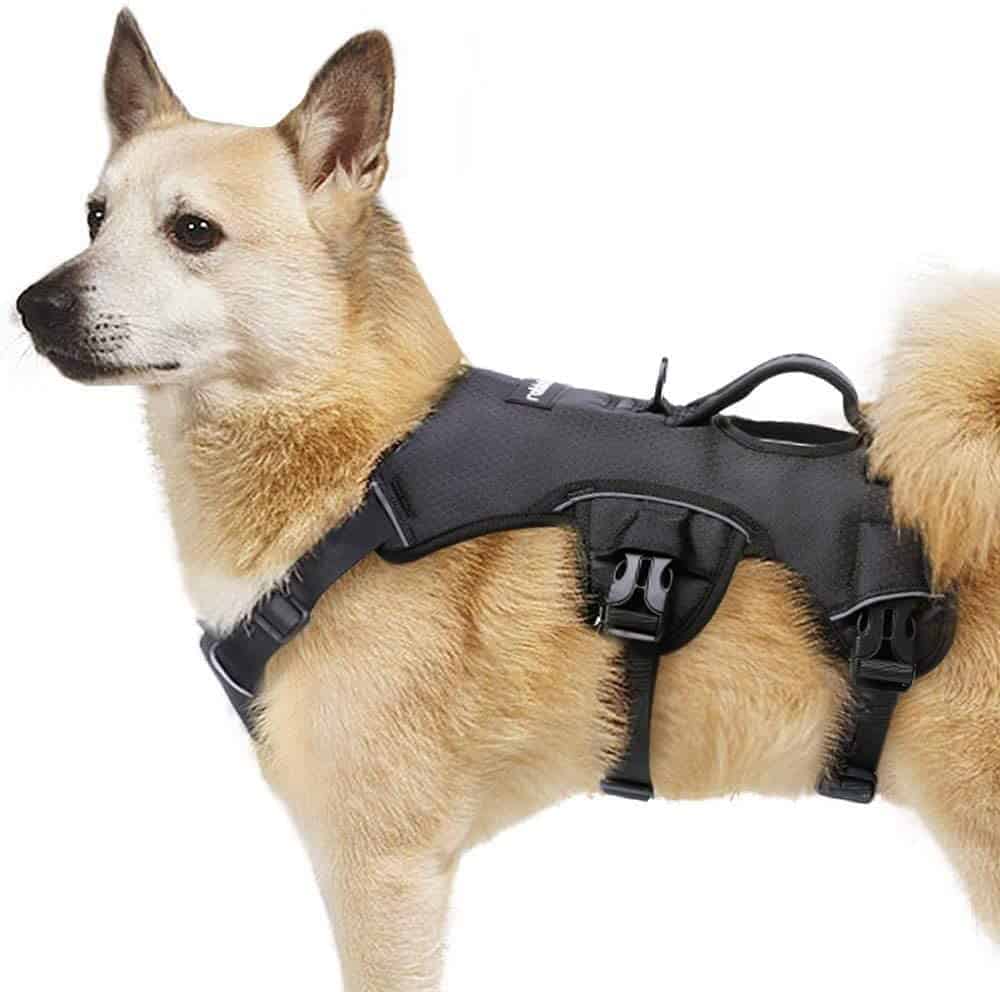 The Best Escape Proof Dog Harnesses For Your Canine Houdini