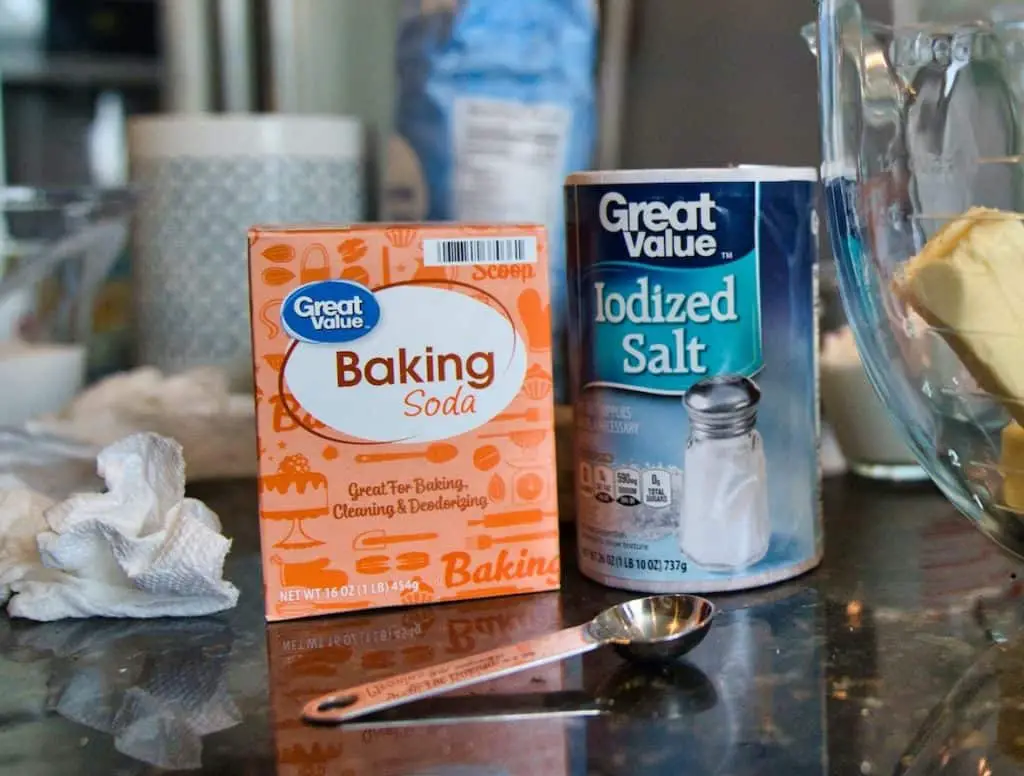 Baking soda and salt make a great natural flea killer