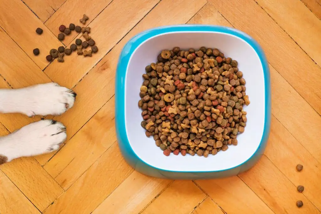 Keeping dog food fresh