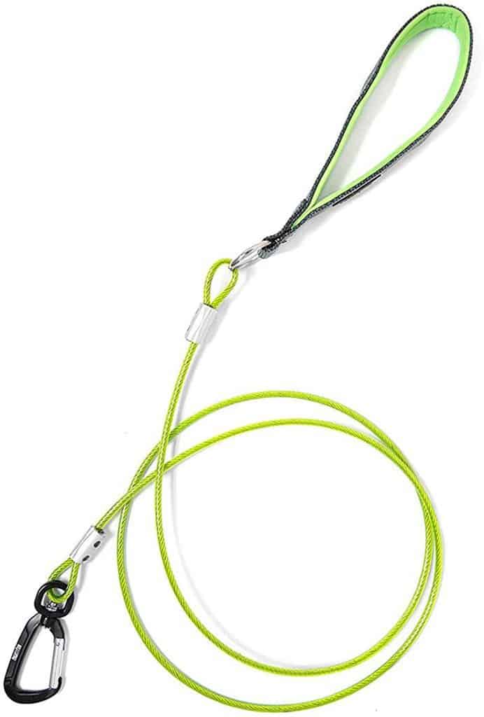 Mighty Paw Chew-Proof Dog Leash best for aggressive chewers