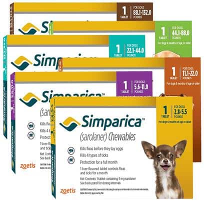 Simparica best sarolaner flea tick medication chewable choice