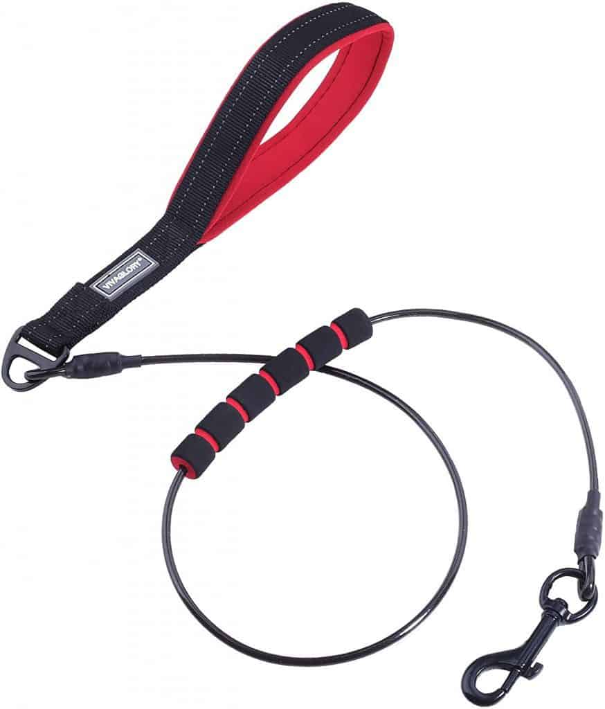 Vivaglory overall best chew proof dog leash