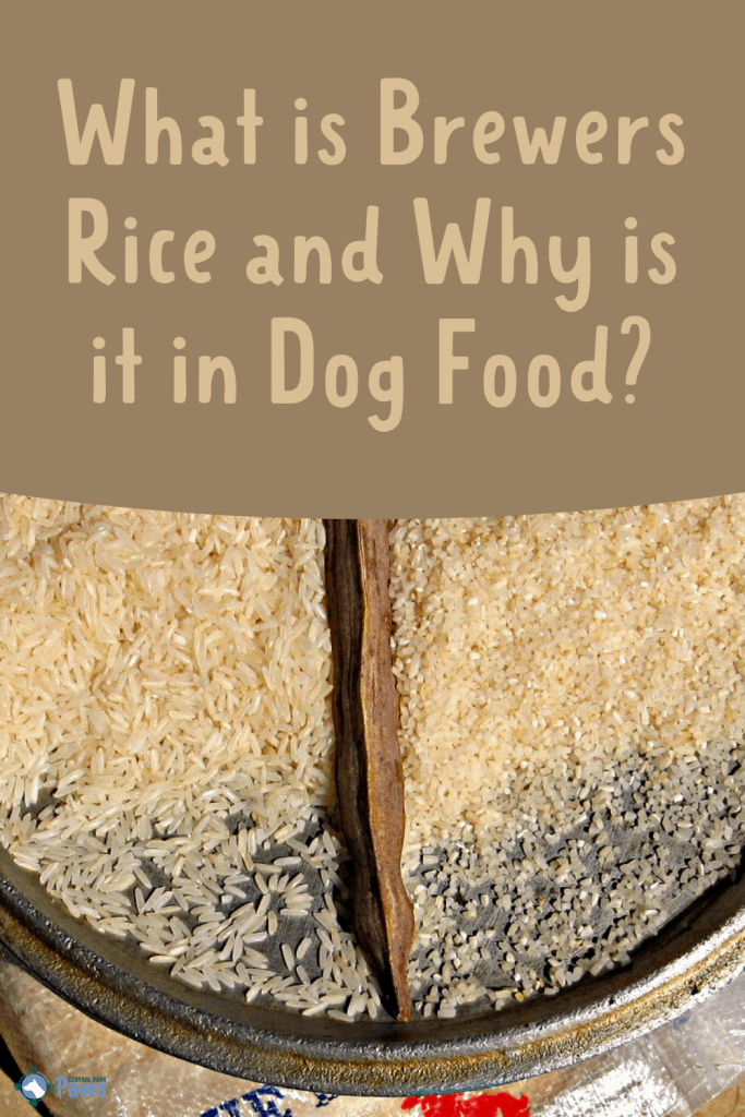 What Is Brewers Rice in Dog Food - Pinterest