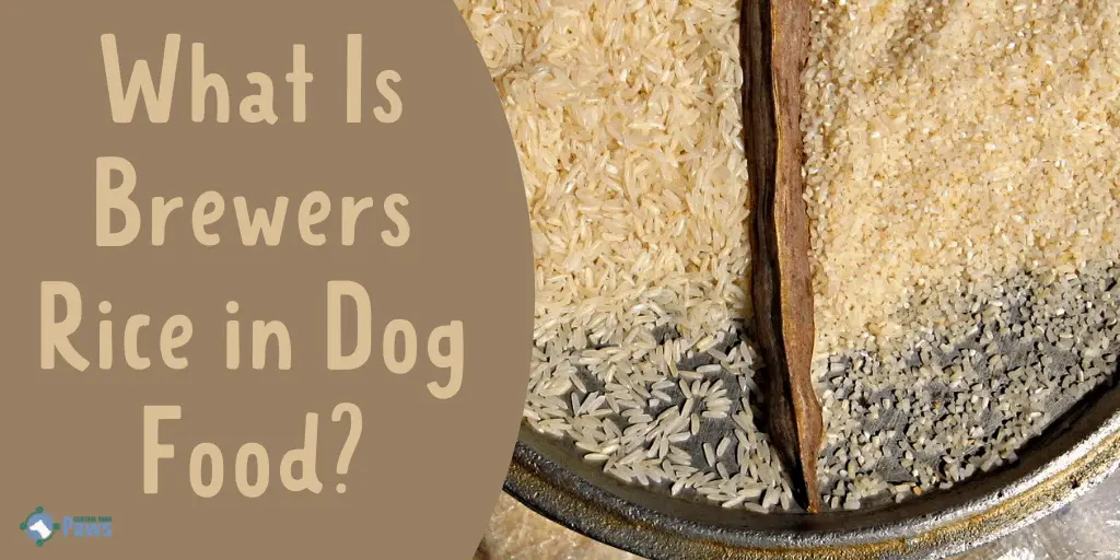 Brewers rice on sale for dogs