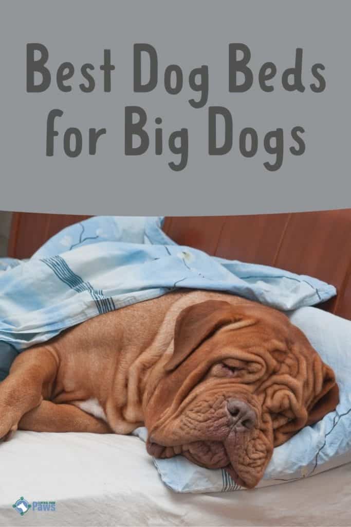 Best Dog Beds for Large Dogs - Pinterest