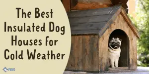 Best Insulated Dog Houses for Winter and Cold Weather