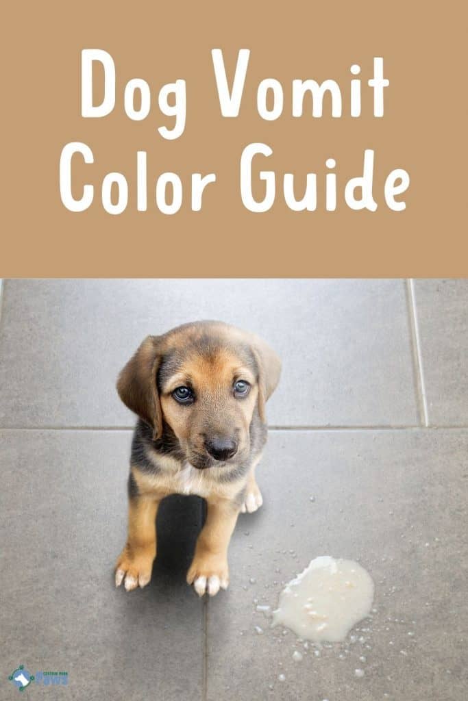 Dog Vomit Color Guide - Dog Vomiting Orange White Yellow Etc (Pinterest Pin (1000 × 1500))