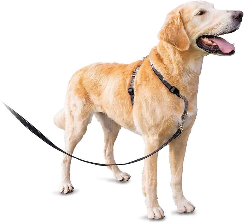 PetSafe 3 in 1 dog harness multiple purpose training collar harness seatbelt chest back