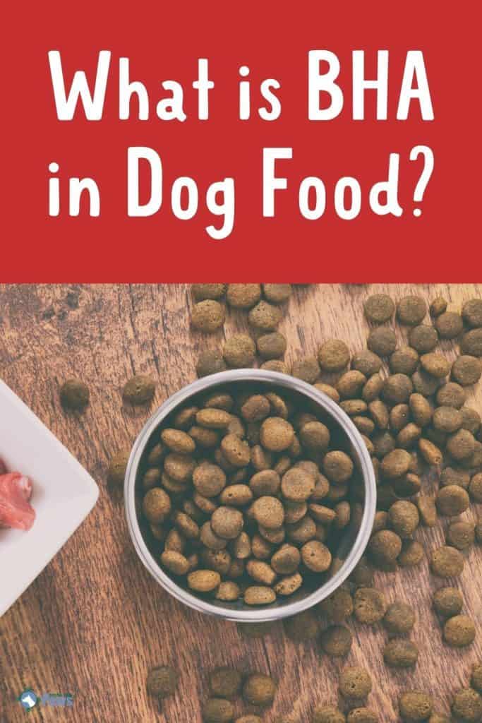 What is BHA in Dog Food and Treats - Pinterest