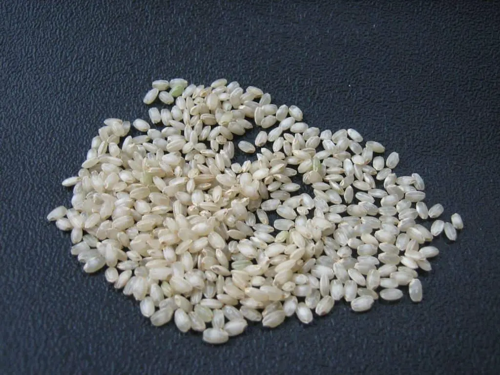 Brewers rice on sale for dogs