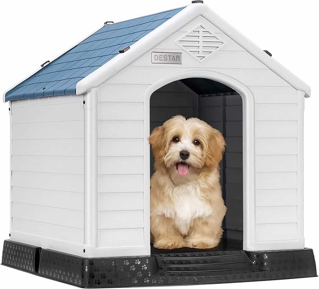 DEStar most durable easiest to clean indoor pet shelter dog kennel