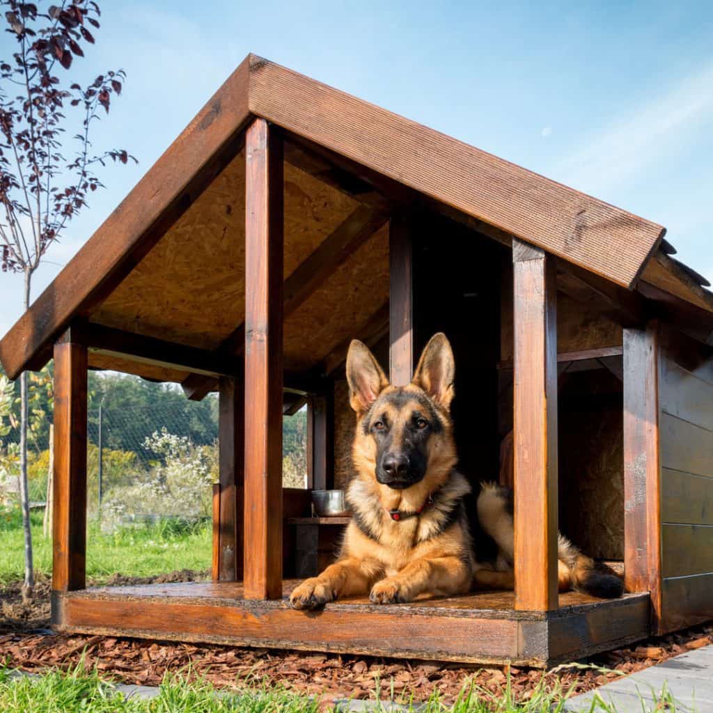 Dog House with Front Porch