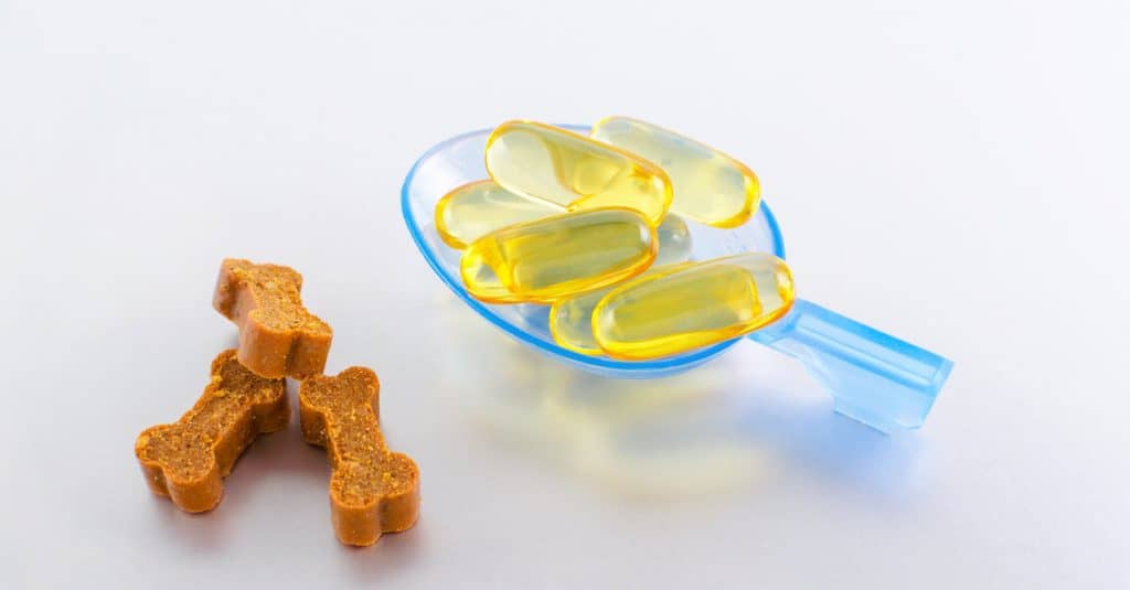 Fish Oil Capsules and Dog Treats