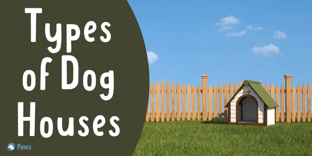 Types of Dog Houses Which One is Right for Your Pup