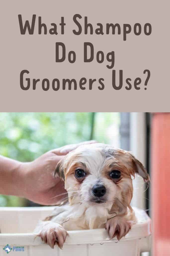 What Shampoo Do Dog Groomers Use - Pinterest Pin