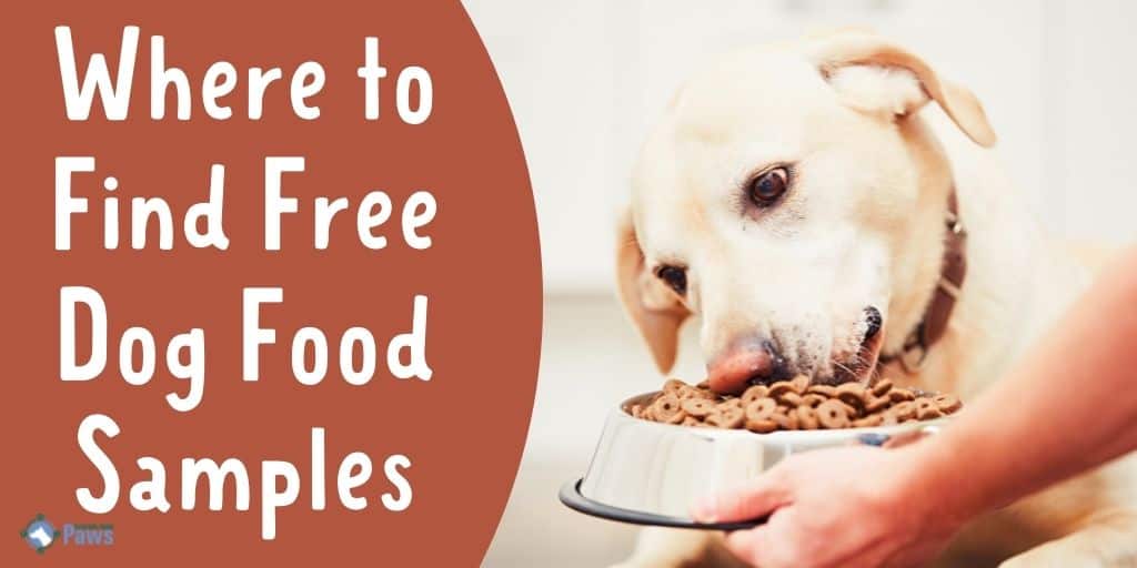 Where To Find Free Dog Food Samples Online & Worldwide