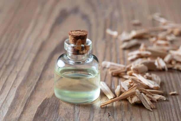 Is Cedarwood Oil safe for dogs?