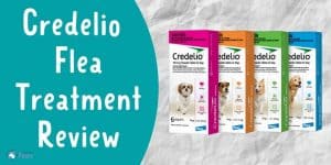 Credelio Oral Flea and Tick Treatment for Dogs Review