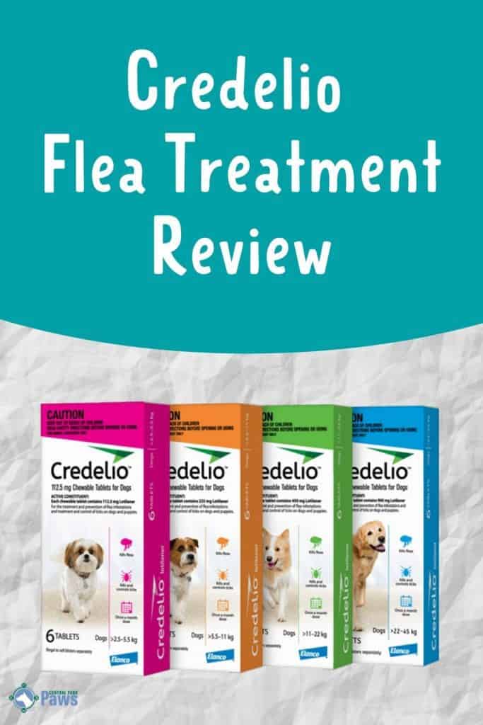 Credelio Oral Flea and Tick Treatment for Dogs Review - Pinterest Pin