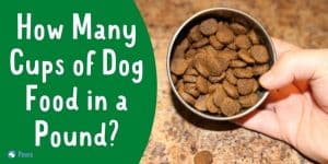 How Many Cups of Dog Food in a Pound