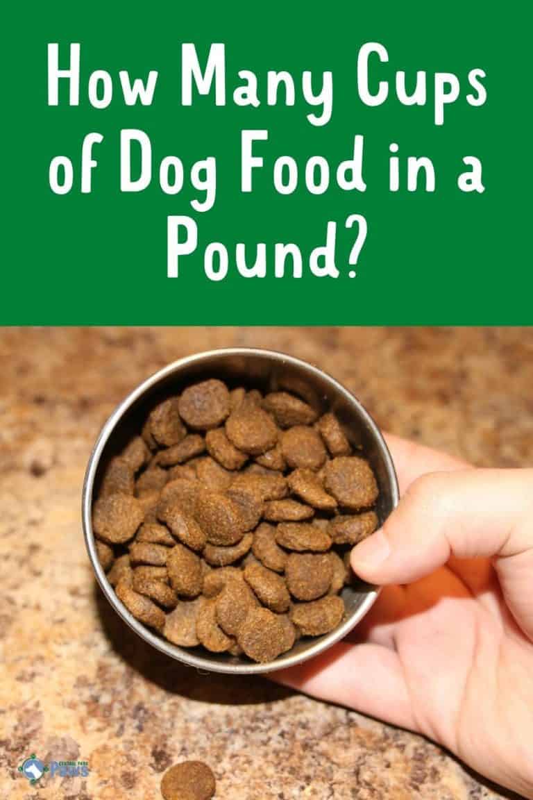 How Many Cups Of Dog Food In A Pound Answer 4